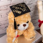 Personalised Cute Plush Teddy Bear Toy with School Badge Name and School Graduation Gift