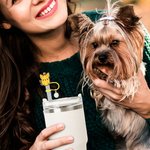 Personalized Dachshund Corgi Small Dogs Reusable Straw Topper with Initial Charm Accessory for Stanley Tumbler Birthday Gift for Dog Lover Owner