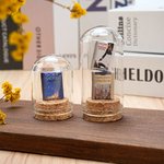 Personalised 1-3 Mini Book Display Glass Dome Cloche with Cork Base Desk Bookshelf Decor Birthday Book Club Gift for Book Lovers Readers