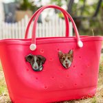 Personalized Pet Portrait Photo Acrylic Charm Accessor for Bogg Memorial Birthday Gift for Pet Lover