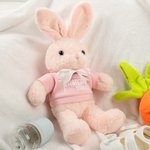 Personalized Baby's First Easter T-shirt Bow Bunny with Name and Year Plush Toy Home Decor Easter Birthday Baby Shower Gift for Boys Girls