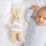 Personalized Baby's First Easter T-shirt Bow Bunny with Name and Year Plush Toy Home Decor Easter Birthday Baby Shower Gift for Boys Girls