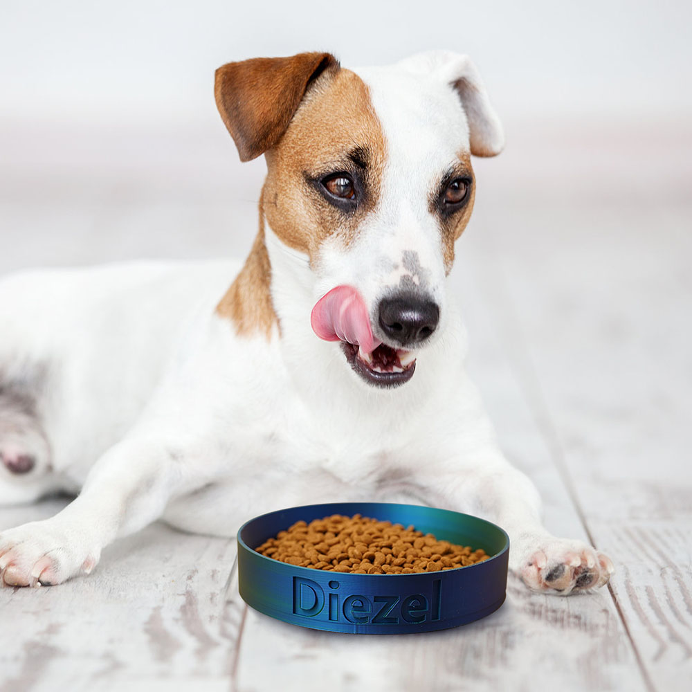 Personnalisé Moderne Imprimé 3D Nom Bols à eau pour animaux de compagnie Cadeau d'anniversaire pour les amoureux des animaux de compagnie