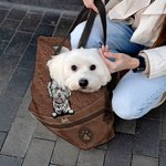 Personalizzato Vintage Paw Print 1-5 Cani Gatti Grande Borsa Tote con cerniera con nomi Regalo di compleanno per gli amanti degli animali domestici