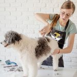 Personalized Multicolor Glitter Dog Grooming Paw Print Waterproof Apron with Pockets and Name Grand Opening Gift for Dog Lovers Groomers