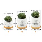 Personalised Dog Cat Pet Line Design Ceramic Succulent Planter Pot with Name and Bamboo Tray Loss of Pet Memorial Gift for Pet Owner