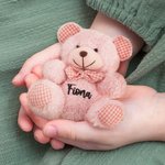 Personalizado lindo Plaid Bow Tie Tiny Peluche Oso Peluche Animal de juguete con nombre Baby Shower Día de los Niños Cumpleaños de regalo para los niños