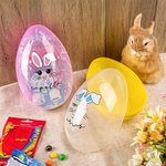 Personalized Cute Bunny Expression Ears Easter Egg with Name Easter Hunting Birthday Party Gift for Kids