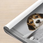 Personalized Reading Newspaper Cat Dog Photo Canvas Poster Framed Frameless Painting Wall Decor Birthday Memorial Gift for Pet Owners