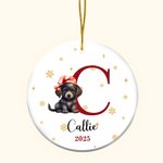 Personalized Cute Bear Dog Cat Santa Hat Animal Ceramic Christmas Ornament with Multicolor Initial and Name Holiday Tree Decor Gift for Kids Family