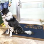 Tapis de porte antidérapant personnalisé en 3D avec les noms des animaux domestiques Cadeau de pendaison de crémaillère pour la famille et les amoureux des animaux domestiques