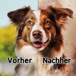 Personalisierte Aquarell Hund Katze TPU iPhone Handyhülle mit Namen Haustierporträt Verlust Erinnerung Geburtstag Geschenk für Haustier Liebhaber