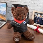 Ours en Peluche Personnalisé avec Nom et Badge d’École Cadeau de Fin d’Études pour Amis Cadeau Fin d’Études pour Amis Maternelle ou Université