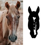 Personalised Multicolour Horse Silhouette Birthmark Photo Weatherproof Decal Sticker Birthday Car Window Laptop Decor Gift for Horse Lover Car Owner