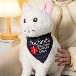 Personalised Star of Life Adjustable Buttons ESA Emotional Support Dog Cat Bandana with Embroidered Name Identification Birthday Gift for Pet Lover