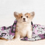 Personnalisé Paw Print Heart Bone Ball Multicolor Initial Plaid Soft Dog Cat Pet Blanket with Name Home Decor Birthday Gift for Pet Owners