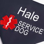 Personalised Star of Life Adjustable Buttons ESA Emotional Support Dog Cat Bandana with Embroidered Name Identification Birthday Gift for Pet Lover