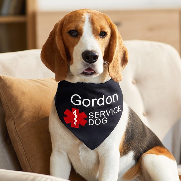 Personalised Star of Life Adjustable Buttons ESA Emotional Support Dog Cat Bandana with Embroidered Name Identification Birthday Gift for Pet Lover