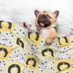 Personnalisé Paw Print Heart Bone Ball Multicolor Initial Plaid Soft Dog Cat Pet Blanket with Name Home Decor Birthday Gift for Pet Owners