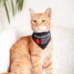 Personalised Star of Life Adjustable Buttons ESA Emotional Support Dog Cat Bandana with Embroidered Name Identification Birthday Gift for Pet Lover