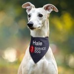 Personalised Star of Life Adjustable Buttons ESA Emotional Support Dog Cat Bandana with Embroidered Name Identification Birthday Gift for Pet Lover