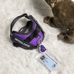 Personalized Emotional Support Soft Otter Stuffed Animal with Name Companionship Birthday Gift for Family Friend