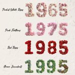 Personalizado 3D Rosas Plumas Suculentas Año de Nacimiento Diseño Suave Funda de Almohada con Nombre y Texto Decoración del Hogar Regalo de Cumpleaños para Amigos Familia