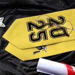 Personalized Grad Cap Cartoon Character Graduation Sash with Name and Year Graduation Keepsake Gift for Class of 2025 Graduates