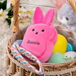 Personalized Macaron Color Cute Bunny Plush Coin Purse Wallet with Name Easter Basket Stuffers Birthday Gift for Kids