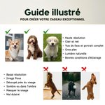 Bol Antidérapant en Acier Inoxydable Personnalisé avec Photo et Nom d'Animal Compagnie Cadeau Anniversaire pour Animaux