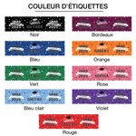 Etiquettes de Bouteille d'Eau Imperméables Personnalisées avec Nom et Année Class of 2025 Lot de 20 Cadeau de Fin d'Étude pour Graduation