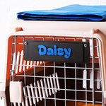 Personalized 3D Printed Multicolor Dog Kennel Tag Name Sign Pet Accessories Dog Room Decor for Dog Lovers