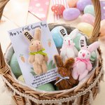 Personalized Cute Tiny Plush Pocket Hug Bunny Stuffed Companion Toy with Name Card Easter Basket Stuffers Holiday Easter Birthday Gift for Kids
