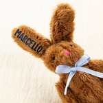 Personalized Cute Tiny Plush Pocket Hug Bunny Stuffed Companion Toy with Name Card Easter Basket Stuffers Holiday Easter Birthday Gift for Kids