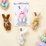 Personalized Cute Tiny Plush Pocket Hug Bunny Stuffed Companion Toy with Name Card Easter Basket Stuffers Holiday Easter Birthday Gift for Kids