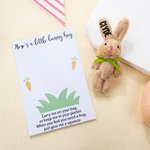 Personalized Cute Tiny Plush Pocket Hug Bunny Stuffed Companion Toy with Name Card Easter Basket Stuffers Holiday Easter Birthday Gift for Kids