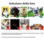 Timbro autoinchiostrante personalizzato con ritratto del volto di cane o gatto e nome regalo di compleanno o commemorativo per amanti degli animali