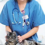 Personalized Meow-dicine Pill Bottle Acrylic Retractable Badge Reel with Name and Pen Birthday Vet Tech Accessories Gift for Veterinarian Cat Lovers