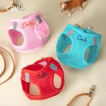 Harnais pour chien en maille respirante, réglable, avec nom brodé et personnalisé pour chiot