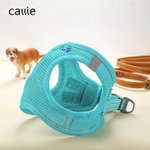 Harnais pour chien en maille respirante, réglable, avec nom brodé et personnalisé pour chiot