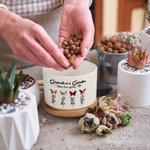 Personalized 1-10 Birth Flower Butterfly Names Succulent Ceramic Planter Pot with Drainage and Bamboo Base Birthday Mother's Day Gift for Mom Grandma