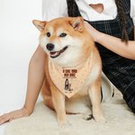 Personalised A Girl & Her Dogs Have Unbreakable Bond 3D Cartoon Design Soft Pet Bandana with Name Birthday Gift for Pet Lovers