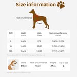 Personalised A Girl & Her Dogs Have Unbreakable Bond 3D Cartoon Design Soft Pet Bandana with Name Birthday Gift for Pet Lovers