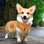 Personalised A Girl & Her Dogs Have Unbreakable Bond 3D Cartoon Design Soft Pet Bandana with Name Birthday Gift for Pet Lovers