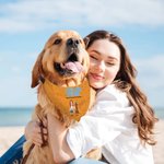 Personalised A Girl & Her Dogs Have Unbreakable Bond 3D Cartoon Design Soft Pet Bandana with Name Birthday Gift for Pet Lovers