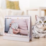 Calendario personalizzato con il nome dell'animale domestico 12 foto 2025 Anniversario Compleanno Regalo commemorativo per il proprietario dell'animale familiare
