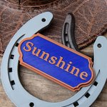 Personalizado Multicolor Clásico 3D de impresión en forma de herradura Establo Nombre de la placa Puerta Granero Granja Accesorio Regalo para los amantes del caballo Propietario