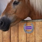 Personalizado Multicolor Clásico 3D de impresión en forma de herradura Establo Nombre de la placa Puerta Granero Granja Accesorio Regalo para los amantes del caballo Propietario