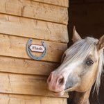 Personalizado Multicolor Clásico 3D de impresión en forma de herradura Establo Nombre de la placa Puerta Granero Granja Accesorio Regalo para los amantes del caballo Propietario