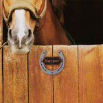 Personalizado Multicolor Clásico 3D de impresión en forma de herradura Establo Nombre de la placa Puerta Granero Granja Accesorio Regalo para los amantes del caballo Propietario